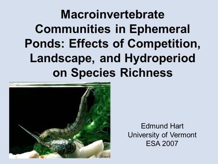 Macroinvertebrate Communities in Ephemeral Ponds: Effects of Competition, Landscape, and Hydroperiod on Species Richness Edmund Hart University of Vermont.