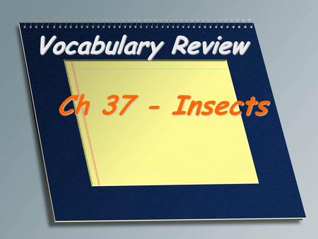 Vocabulary Review Ch 37 - Insects. The study of insects and other terrestrial arthropods Entomology.