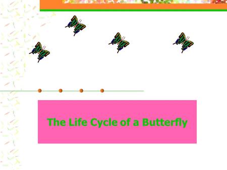 The Life Cycle of a Butterfly. The First Stage of a Butterfly's Life. The egg is the first stage of a butterfly’s life.