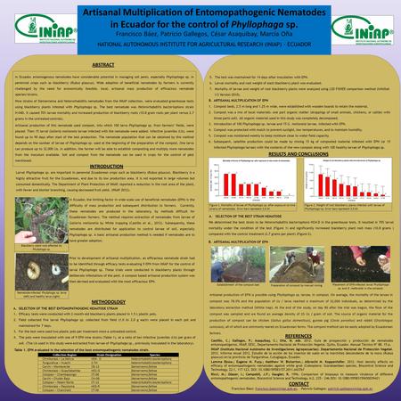 In Ecuador, entomogenous nematodes have considerable potential in managing soil pests, especially Phyllophaga sp. in perennial crops such as blackberry.