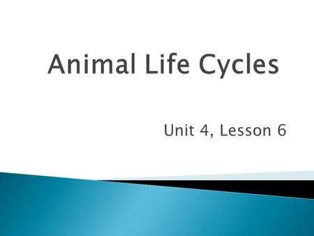 Animal Life Cycles Unit 4, Lesson 6.