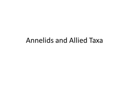 Annelids and Allied Taxa