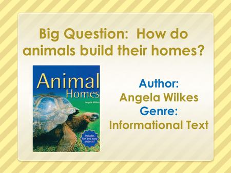 Big Question: How do animals build their homes?