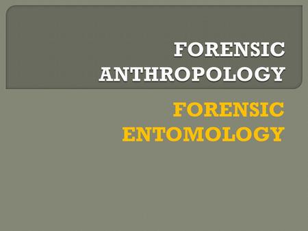 FORENSIC ANTHROPOLOGY