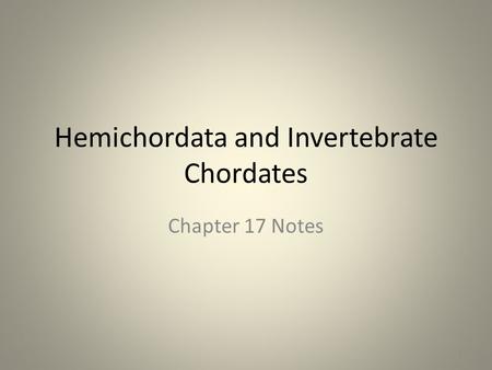 Hemichordata and Invertebrate Chordates