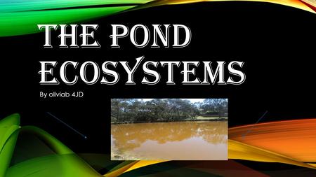 THE POND ECOSYSTEMS By oliviab 4JD. CONTENTS PAGE What is an ecosystem ? Our investigation Where we caught our water sample What we found What we discovered.