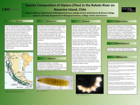 Species Composition of Diptera (Flies) in the Robalo River on Navarino Island, Chile Rebecca Wilson, Department of Biological Sciences, College of Arts.