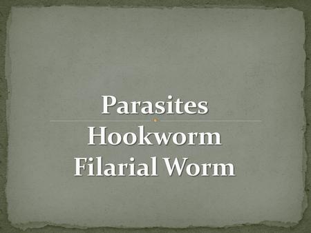 2 main types: Old world and New world hookworms Scientific name: A. duodenale (Old World) N. americanus (New World) Greyish white or pinkish in color.