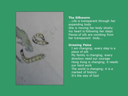 The Silkworm...Life is transparent through her expanding body She is moving her body slowly; my heart is following her steps Pieces of silk are vomiting.