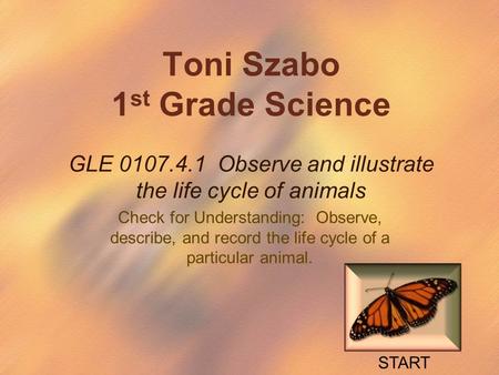 Toni Szabo 1 st Grade Science GLE 0107.4.1 Observe and illustrate the life cycle of animals Check for Understanding: Observe, describe, and record the.