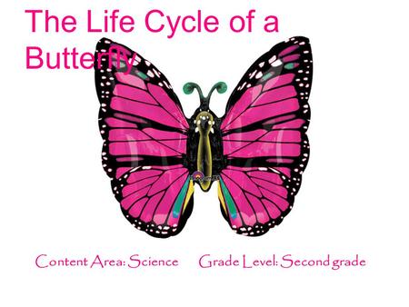 The Life Cycle of a Butterfly