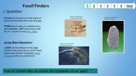 1111 2222 3333 6666 5555 4444 Next Fossil Finders Fossils are bones and other signs of plants and animals that lived long ago. THINK about what you already.