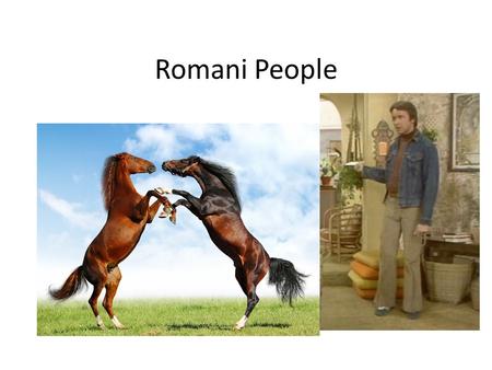 Romani People. Bizarre Foods What did you learn about the Romani people?