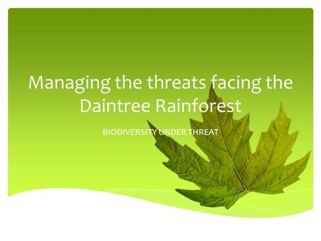 Managing the threats facing the Daintree Rainforest