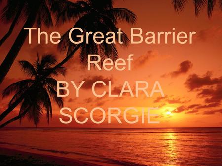 The Great Barrier Reef BY CLARA SCORGIE. The Great Barrier Reef The Great Barrier Reef is famous for it’s beautiful features including: fish, coral, sea.