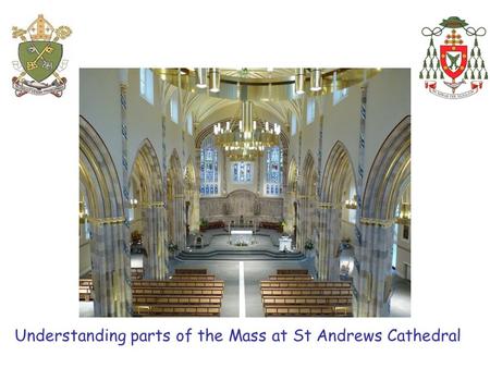 Understanding parts of the Mass at St Andrews Cathedral.