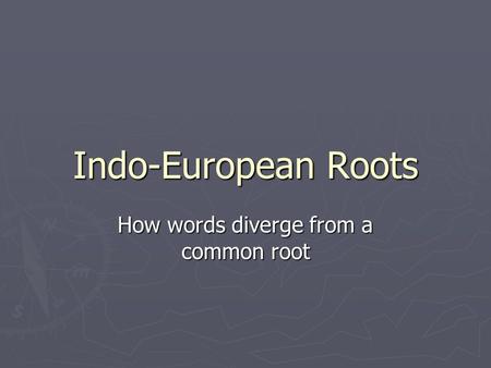 How words diverge from a common root