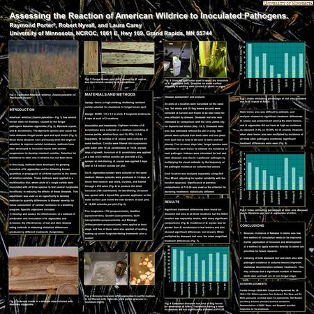 Assessing the Reaction of American Wildrice to Inoculated Pathogens. Raymond Porter*, Robert Nyvall, and Laura Carey University of Minnesota, NCROC, 1861.