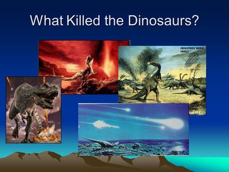 What Killed the Dinosaurs?