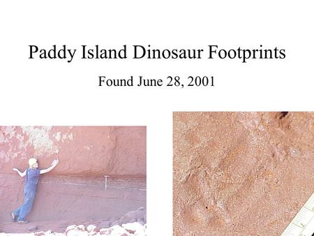 Paddy Island Dinosaur Footprints Found June 28, 2001.