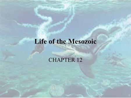 Life of the Mesozoic CHAPTER 12.