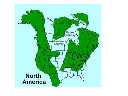 White areas represent sequences of rocks Cratonic Sequences of North America that are separate d by large- scale uncon- formities shown in brown.