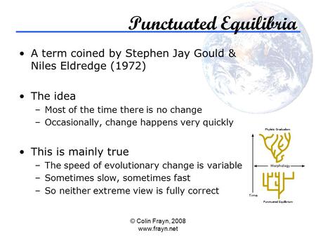 © Colin Frayn, 2008 www.frayn.net Punctuated Equilibria A term coined by Stephen Jay Gould & Niles Eldredge (1972) The idea –Most of the time there is.