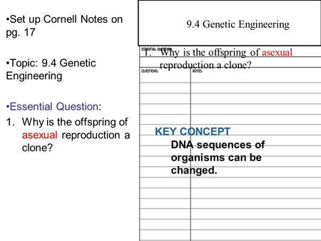 Set up Cornell Notes on pg. 17