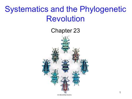 Systematics and the Phylogenetic Revolution