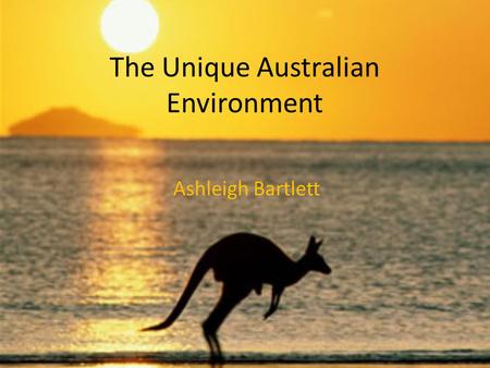 The Unique Australian Environment Ashleigh Bartlett.