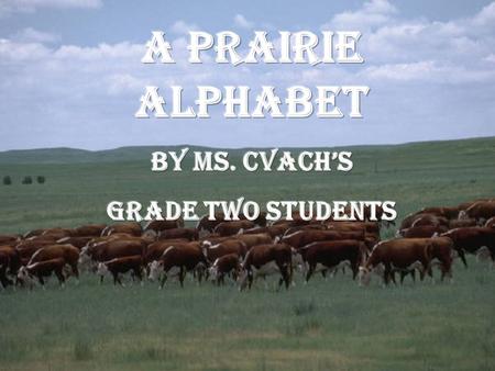 A is for Alberta  Alberta became a province on Sept. 1, 1905. Sept. 1, 1905.  The capital of Alberta is Edmonton.