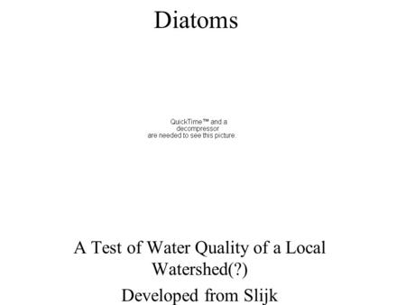 Diatoms A Test of Water Quality of a Local Watershed(?) Developed from Slijk.