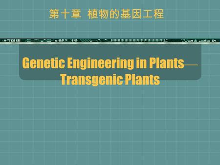 Genetic Engineering in Plants — Transgenic Plants 第十章 植物的基因工程.