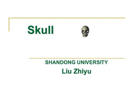 SHANDONG UNIVERSITY Liu Zhiyu