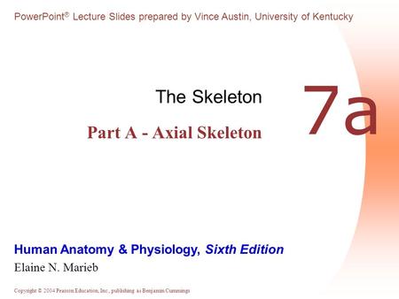 The Skeleton Part A - Axial Skeleton