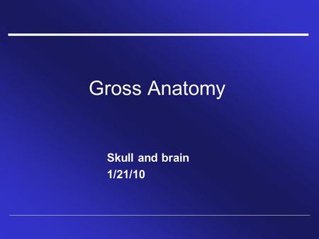 Gross Anatomy Skull and brain 1/21/10.