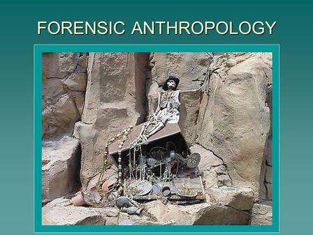 FORENSIC ANTHROPOLOGY