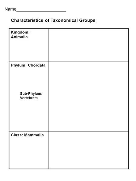 Name____________________ Kingdom: Animalia Phylum: Chordata Sub-Phylum: Vertebrata Class: Mammalia Characteristics of Taxonomical Groups.