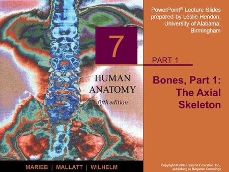 Bones, Part 1: The Axial Skeleton