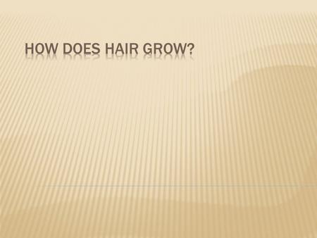 Is hair dead or alive? A lot of people ask that but the truth is that hair is dead and that's why it doesn't hurt when you cut it, but the reason it does.