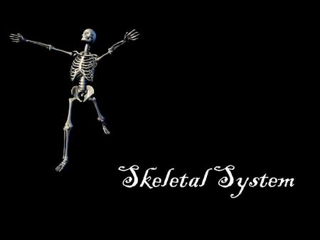 Skeletal System.