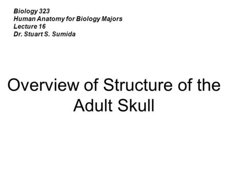 Overview of Structure of the Adult Skull