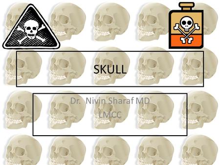 SKULL Dr. Nivin Sharaf MD LMCC.