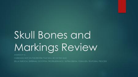 Skull Bones and Markings Review