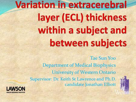 Tae Sun Yoo Department of Medical Biophysics University of Western Ontario Supervisor: Dr. Keith St Lawrence and Ph.D. candidate Jonathan Elliott.
