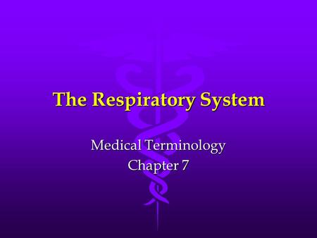 The Respiratory System