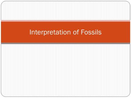 Interpretation of Fossils. What plants would live here?