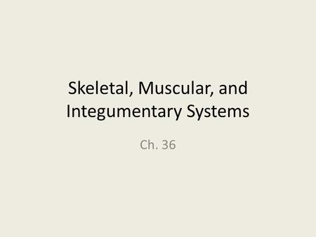 Skeletal, Muscular, and Integumentary Systems