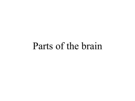 Parts of the brain. Protection Not really part but… The brain is well protected Bony skull 3 protective sheets of tissue Space in the brain is filled.