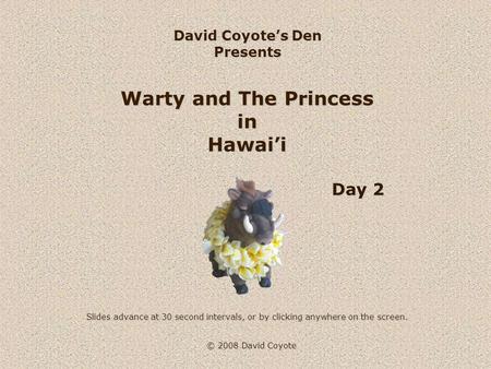 © 2008 David Coyote David Coyote’s Den Presents Warty and The Princess in Hawai’i Slides advance at 30 second intervals, or by clicking anywhere on the.